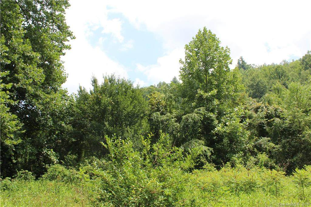 000 Blueberry Farm Road - Photo 1