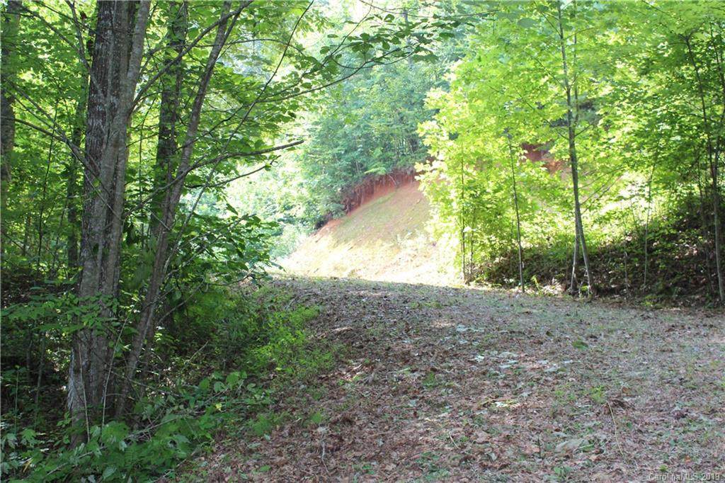 Lot 10 Freeman Overlook - Photo 1