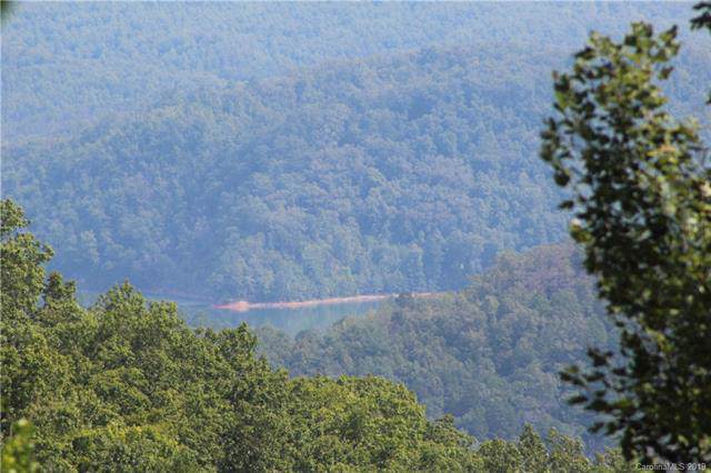 Lot 10 Freeman Overlook - Photo 1