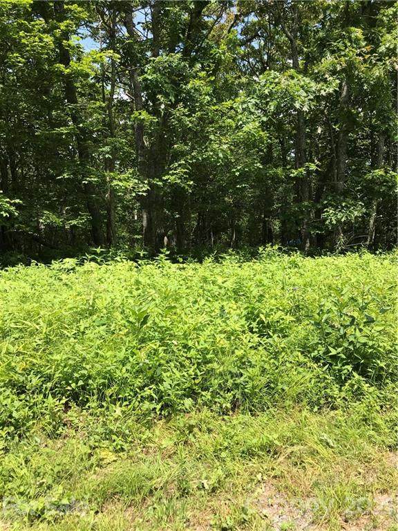 0000 Eagle Roost Road - Photo 1