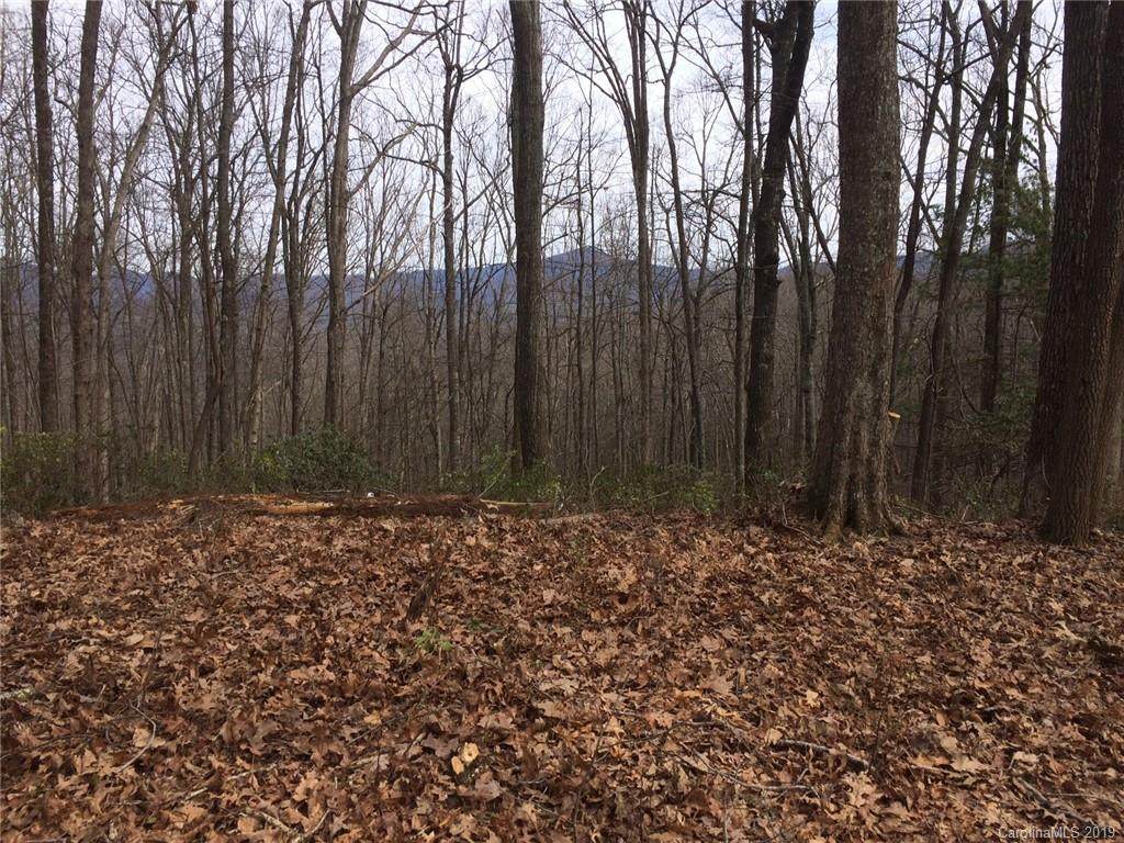 TBD Pinkerton Corner - Photo 1