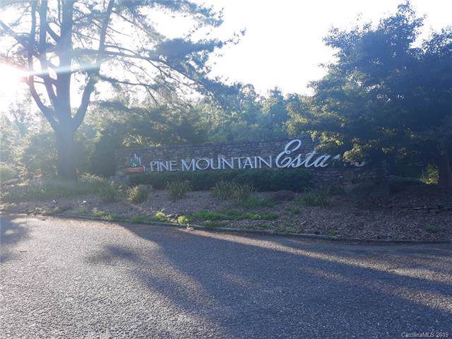 0 Pine Ridge Drive - Photo 1