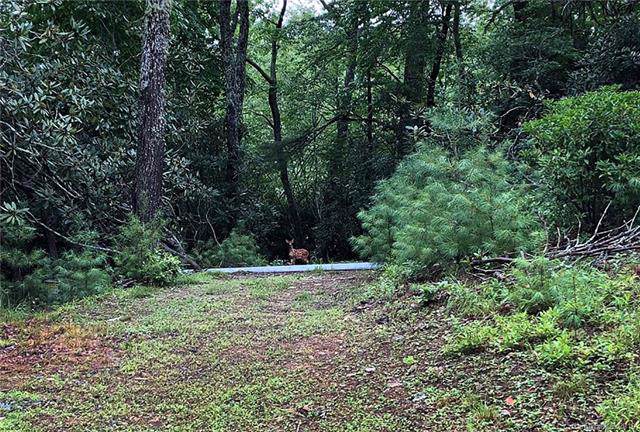 1215 Rebels Creek Road - Photo 1