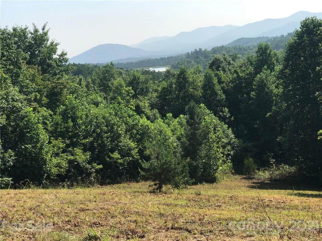 V/L Coal Pit Mountain Road - Photo 1