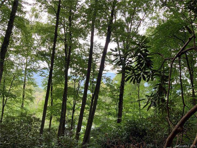 000 Frank Davis Road - Photo 1