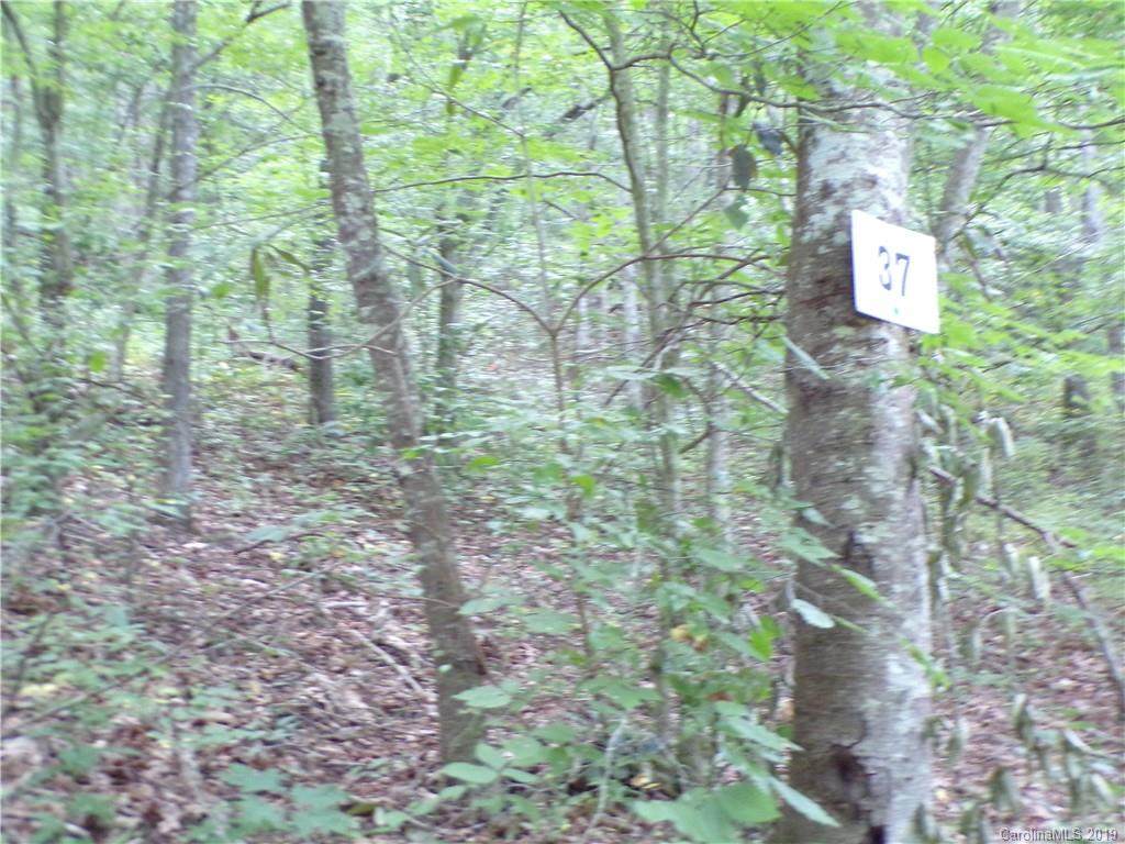 00 Wakulla Way - Photo 1