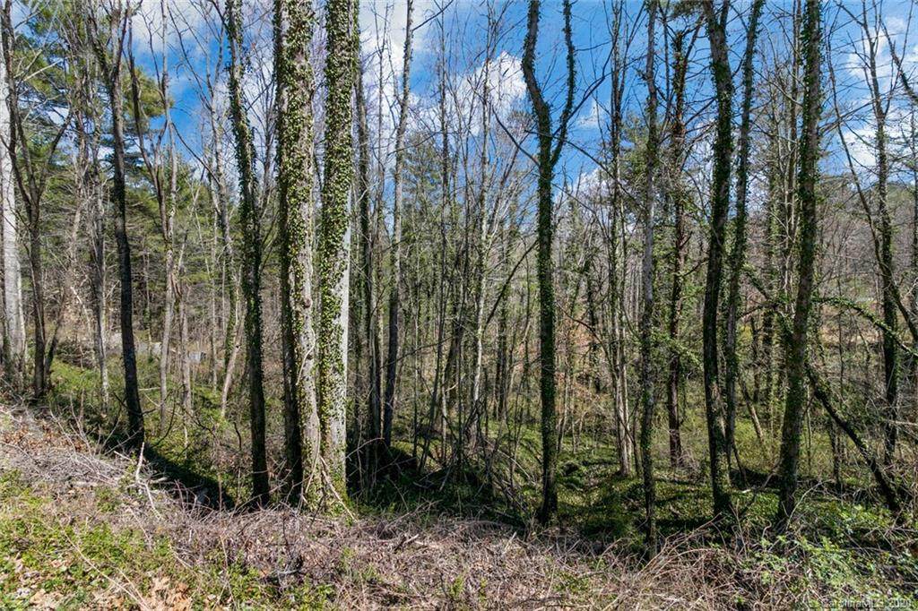 99999 Deep Woods Road - Photo 1