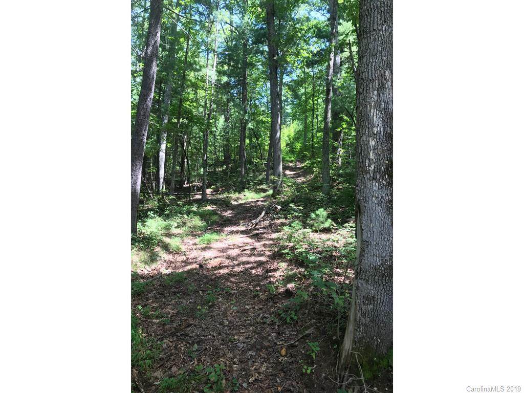 0 Jefferson Forest Drive - Photo 1