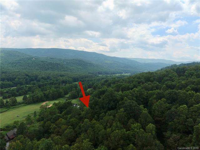 V/L 194 Blue Ridge Drive - Photo 1
