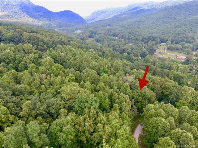 V/L 217 Blue Ridge Drive - Photo 1