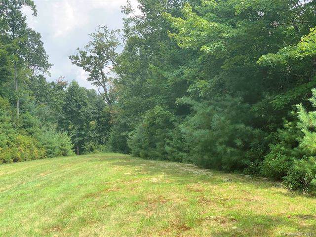 Lot 18 Hawkins Hollow Road - Photo 1