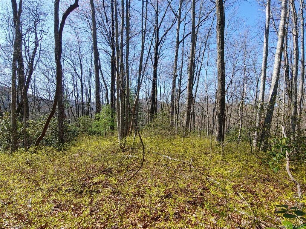 OFF Slick Fisher Road - Photo 1