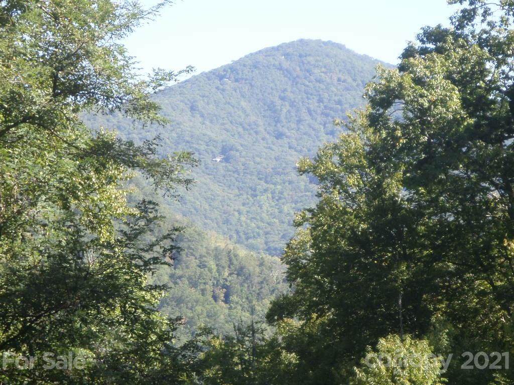 110 & 116 Tenderfoot Trail - Photo 1 110 & 116 Tenderfoot Trail - Photo 1