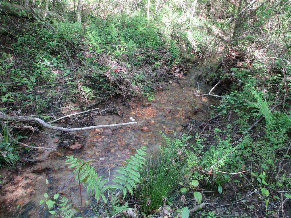 13.89 acres Wellman Road - Photo 1