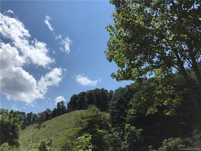 000 Pleasant Valley Road - Photo 1
