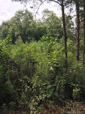 00 W T Wilkins Road - Photo 1