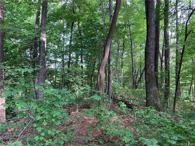 V/L Buckeye Lane - Photo 1