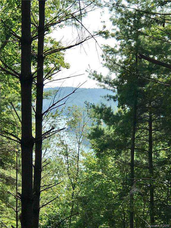V/L 106 Crest View Drive - Photo 1