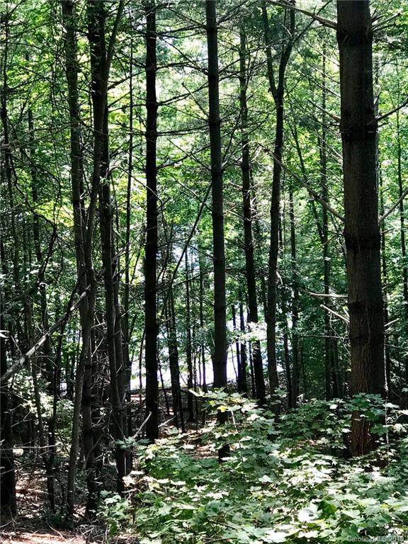 V/L 106 Crest View Drive - Photo 1