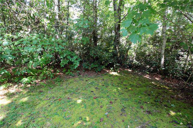Lot 9 Caroline Drive - Photo 1