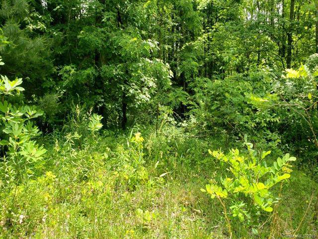 42 Bernies Trail - Photo 1