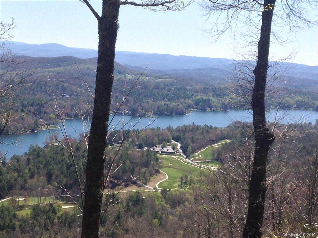 Lot 20 Toxaway Cliff - Photo 1