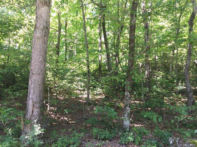 000 White Oak Mountain Road - Photo 1