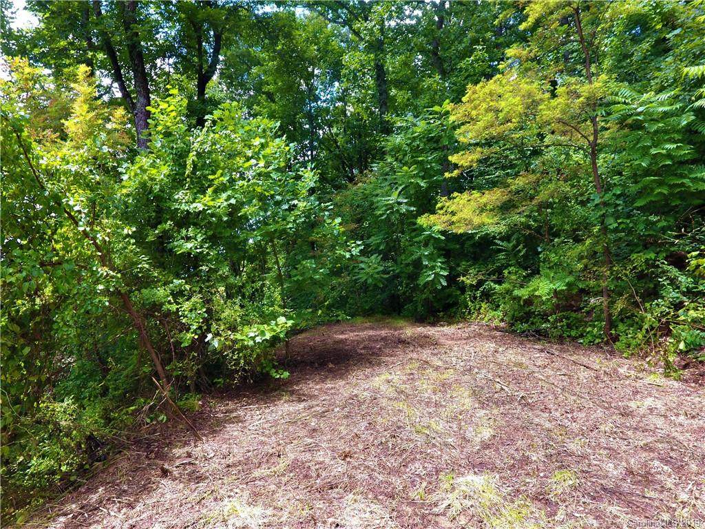 5 Jacobs Ladder Lane - Photo 1