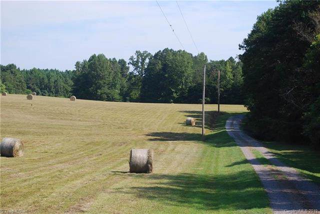 1296 Bear Creek Church Road - Photo 1