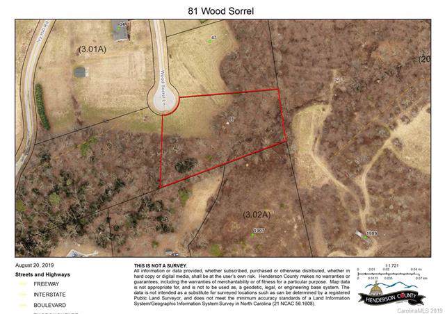 81 Wood Sorrell Lane - Photo 1