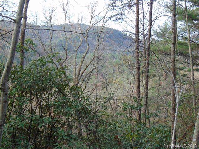 0 Bear Pen Hollow Road - Photo 1 0 Bear Pen Hollow Road - Photo 1