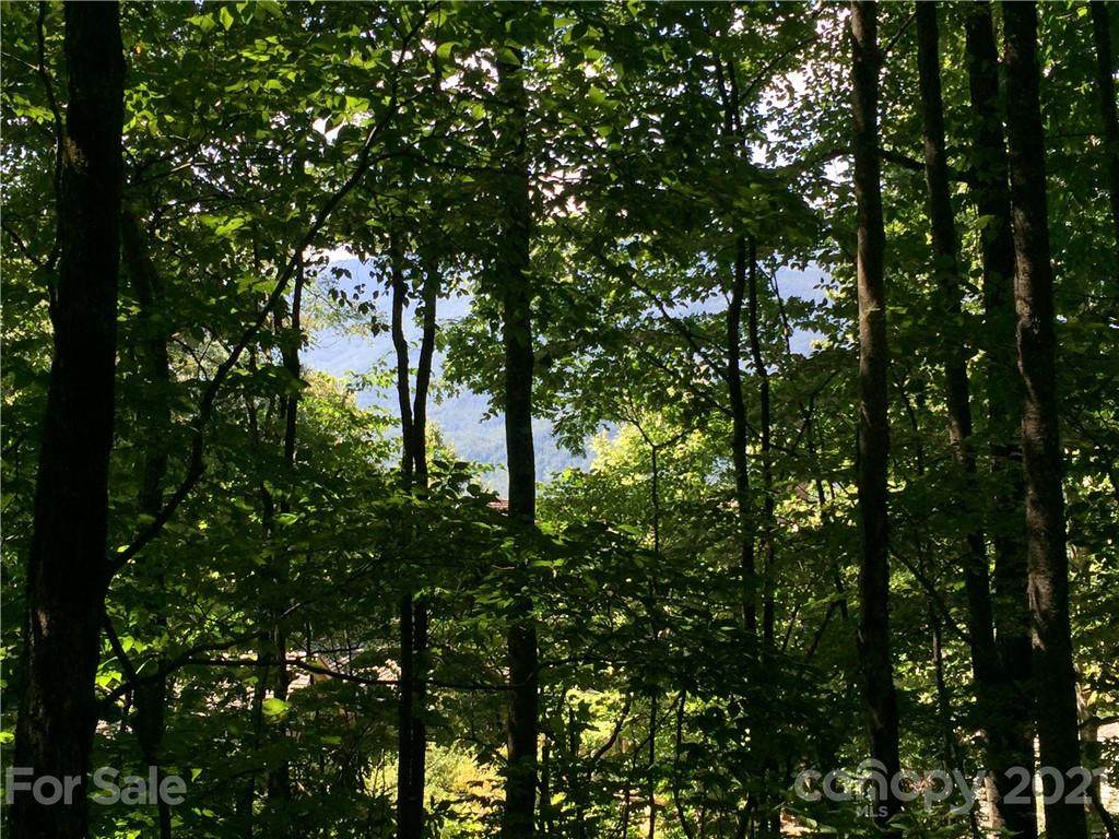 167 Preserve Road - Photo 1