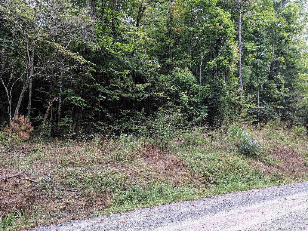 Lot 21 Pleasant Grove Church Road - Photo 1