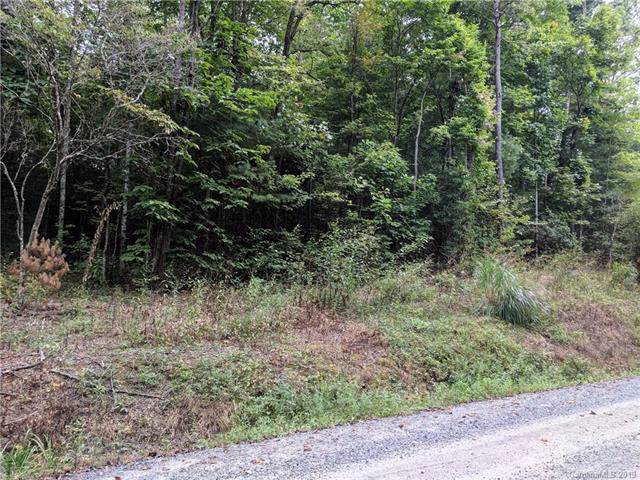 Lot 21 Pleasant Grove Church Road - Photo 1