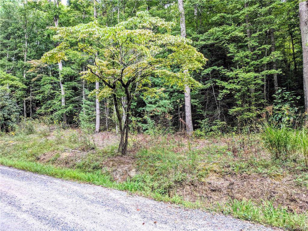 Lot 22 Pleasant Grove Church Road - Photo 1