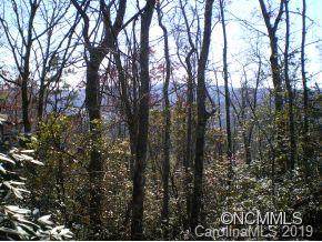 M21 Elk Mountain Trail - Photo 1