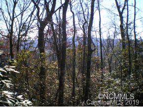 M21 Elk Mountain Trail - Photo 1