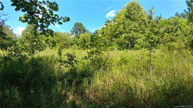 80 Sandy Mush Road - Photo 1