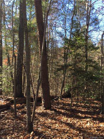 Lot 72 Linden Place - Photo 1
