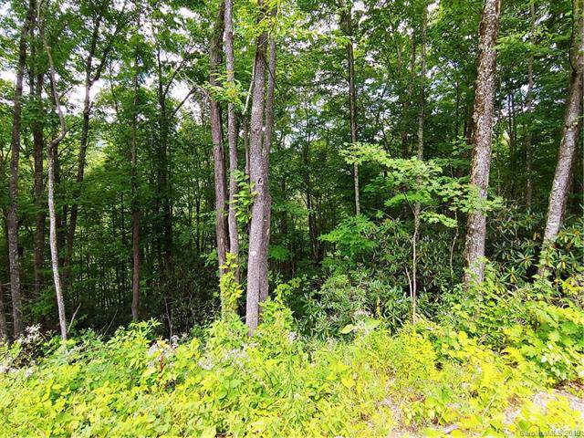 Off Plott Balsam Road - Photo 1
