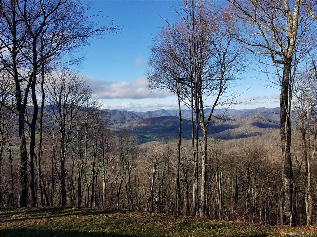 00 White Oak Road Road - Photo 1