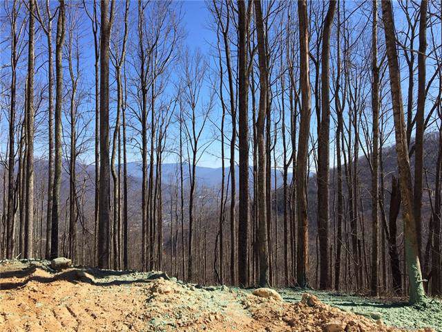 1353 Daydream Ridge - Photo 1