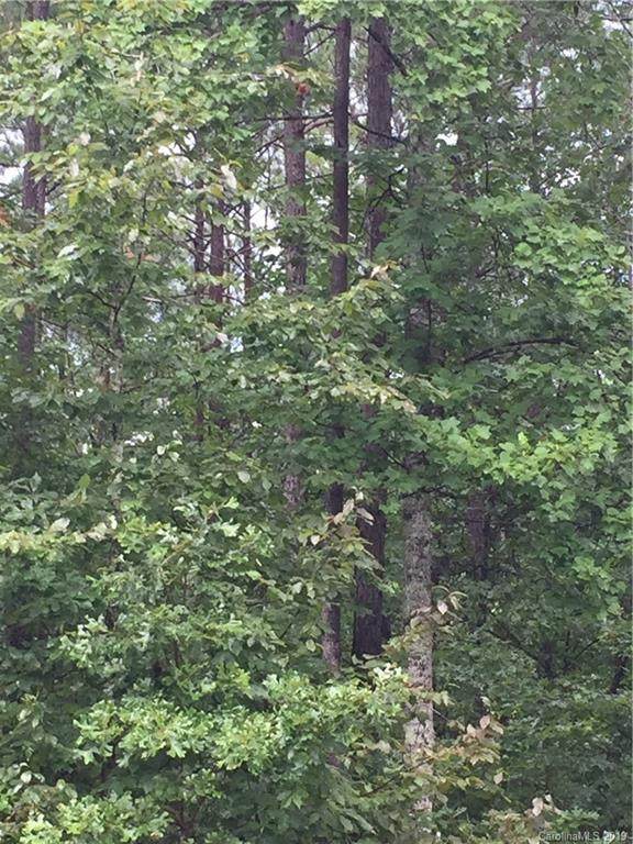 TBD Mountain Creek Road - Photo 1