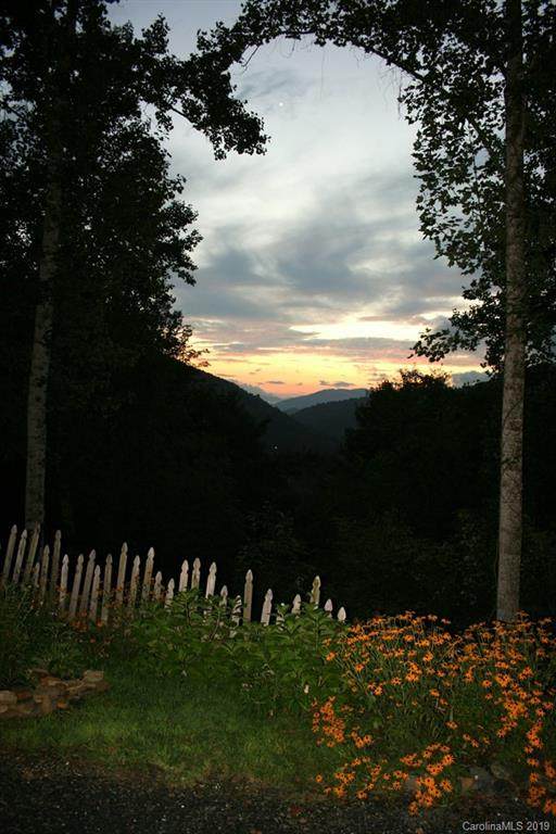 423 Dancing Leaf Road - Photo 1