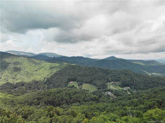 00 Larkspur Trail - Photo 1