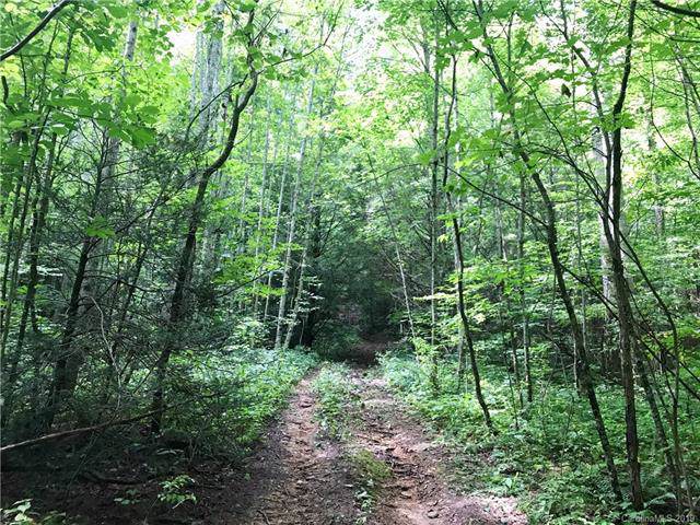 99999 Shelton Branch Road - Photo 1