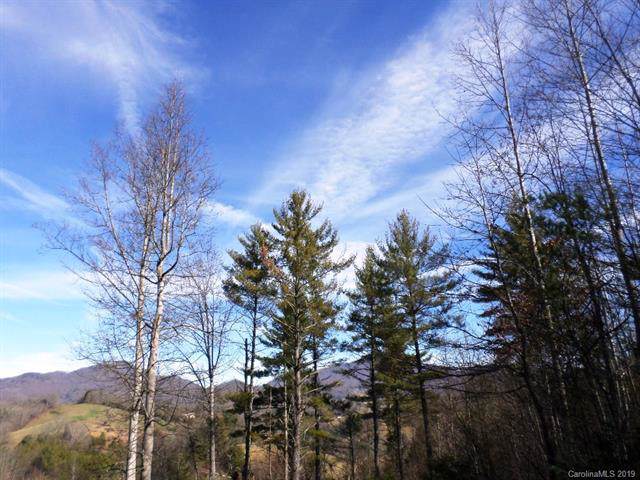 5 Treeline Trail - Photo 1