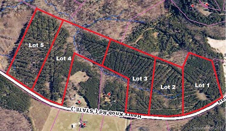 Lot 5 Henry Knob Road - Photo 1