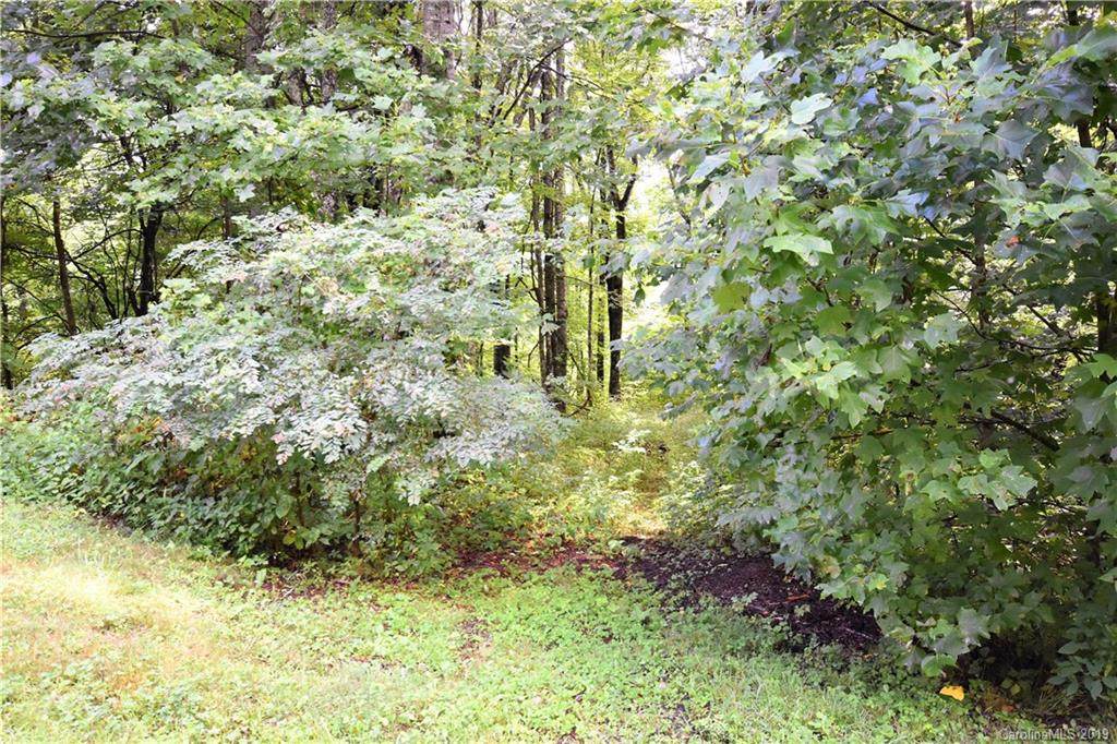 Lot 7 Covecrest Drive - Photo 1
