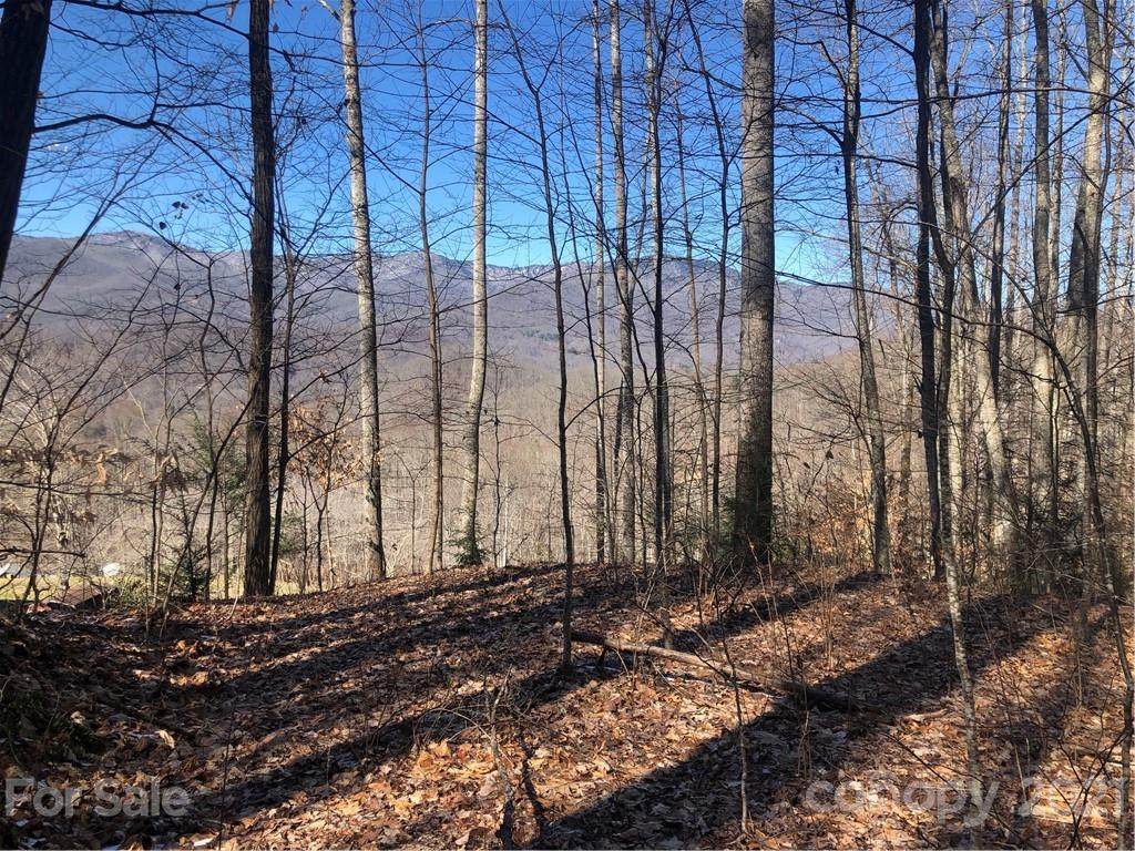 00 Lick Log Road - Photo 1